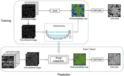 Dice-XMBD: Deep Learning-Based Cell Segmentation for Imaging Mass Cytometry